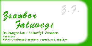 zsombor faluvegi business card
